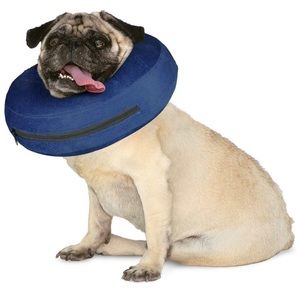 Inflatable protective collar.